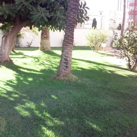 Alteanos, Centrico Y Confortable, Soleado, Con Piscina Y Jardines, Tenis, Parking Exterior Comunitario, Y La Playa Andando 10 Min *